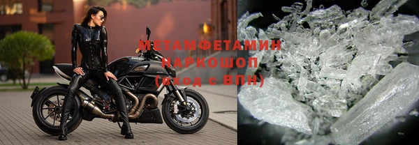 шишки Покачи