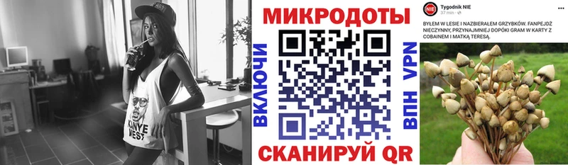 blacksprut ONION Кохма Псилоцибиновые грибы мицелий где найти наркотики