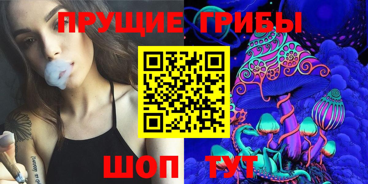 Псилоцибиновые грибы Cubensis  Вход с VPN  Кохма 